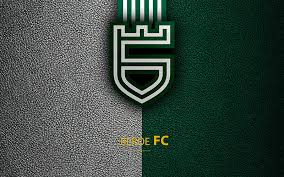 Beroe FC