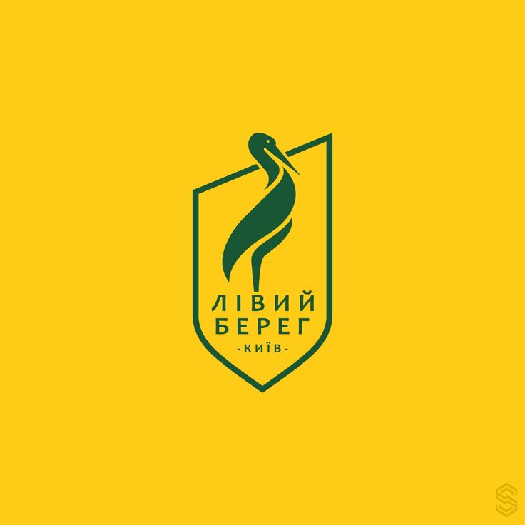 Livyi Bereg FC